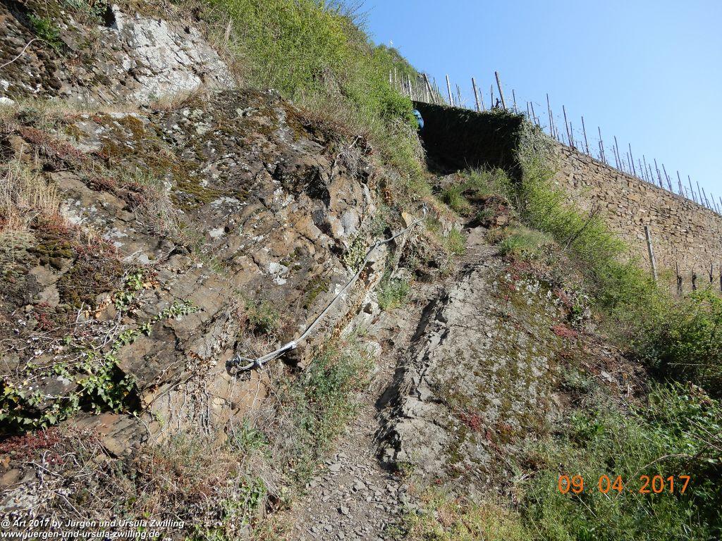 Philosophische Bildwanderung Hatzenporter Laysteig - Wiesen, Wein und weite Blicke - Mosel - Hunsrück
