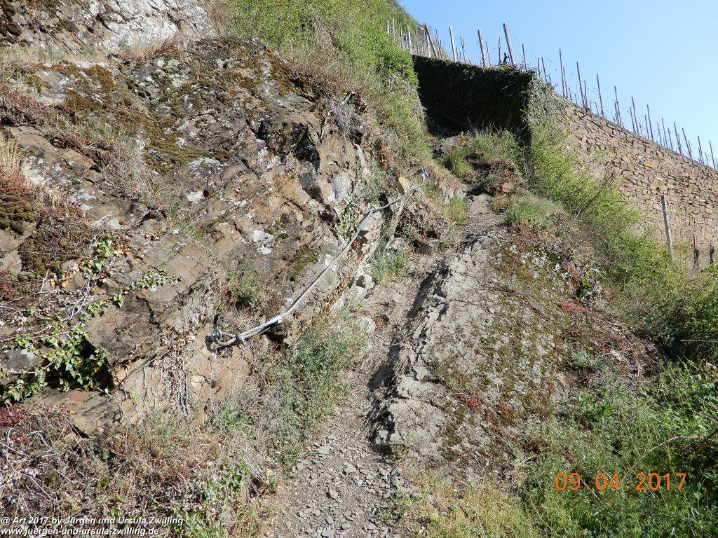 Philosophische Bildwanderung Hatzenporter Laysteig - Wiesen, Wein und weite Blicke - Mosel - Hunsrück
