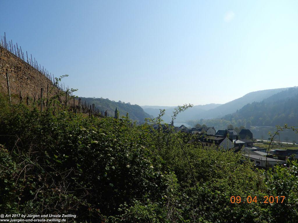 Philosophische Bildwanderung Hatzenporter Laysteig - Wiesen, Wein und weite Blicke - Mosel - Hunsrück