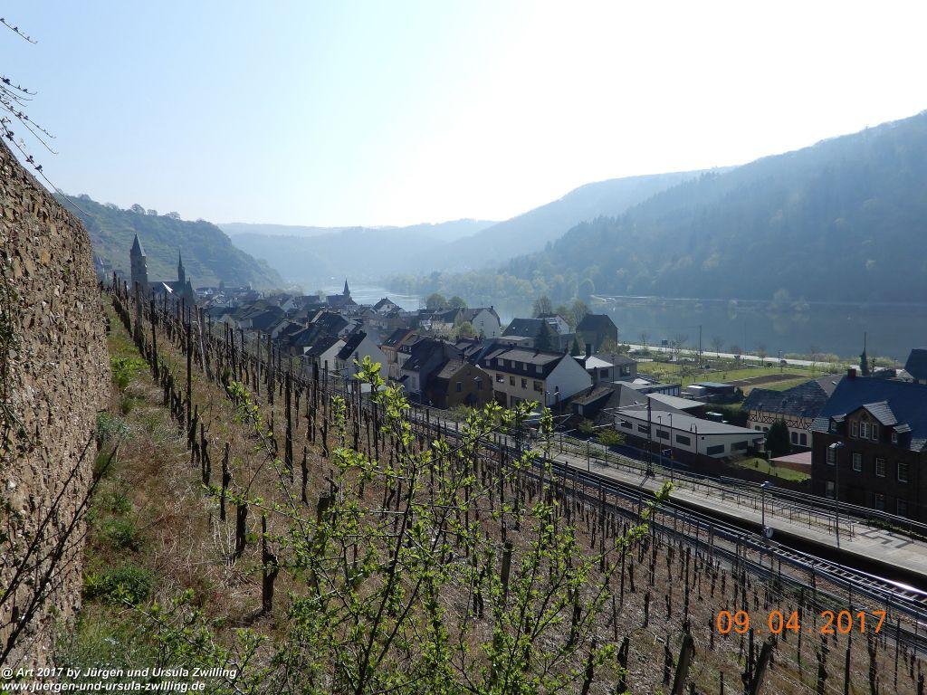 Philosophische Bildwanderung Hatzenporter Laysteig - Wiesen, Wein und weite Blicke - Mosel - Hunsrück