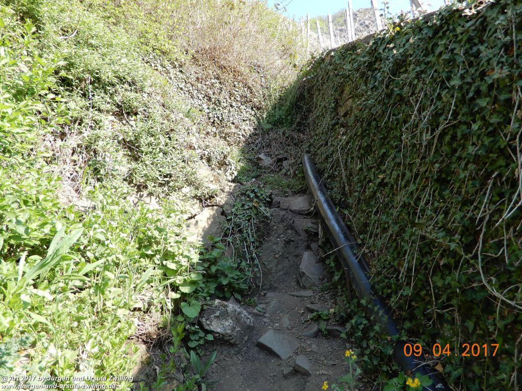 Philosophische Bildwanderung Hatzenporter Laysteig - Wiesen, Wein und weite Blicke - Mosel - Hunsrück