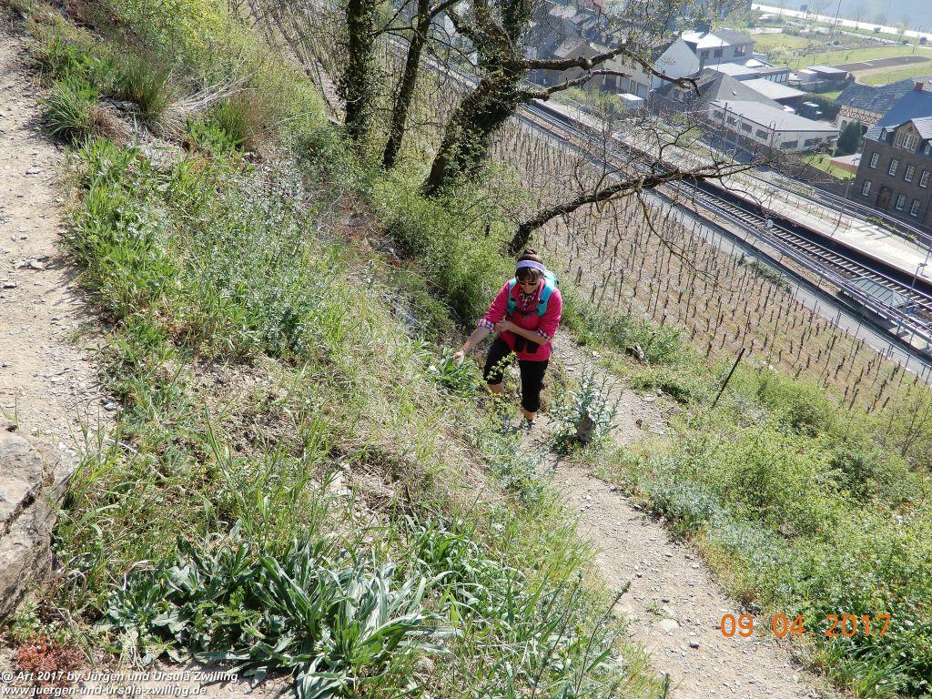 Philosophische Bildwanderung Hatzenporter Laysteig - Wiesen, Wein und weite Blicke - Mosel - Hunsrück