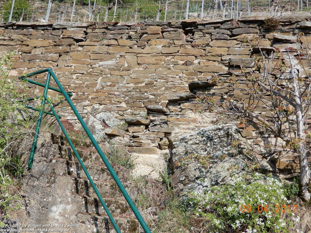 Philosophische Bildwanderung Hatzenporter Laysteig - Wiesen, Wein und weite Blicke - Mosel - Hunsrück