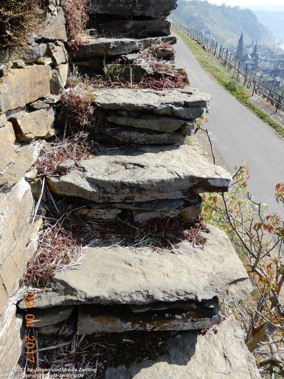 Philosophische Bildwanderung Hatzenporter Laysteig - Wiesen, Wein und weite Blicke - Mosel - Hunsrück