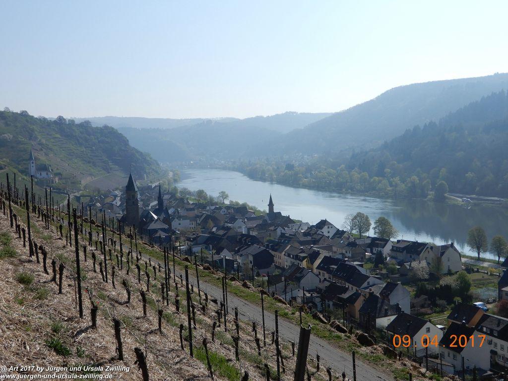 Philosophische Bildwanderung Hatzenporter Laysteig - Wiesen, Wein und weite Blicke - Mosel - Hunsrück