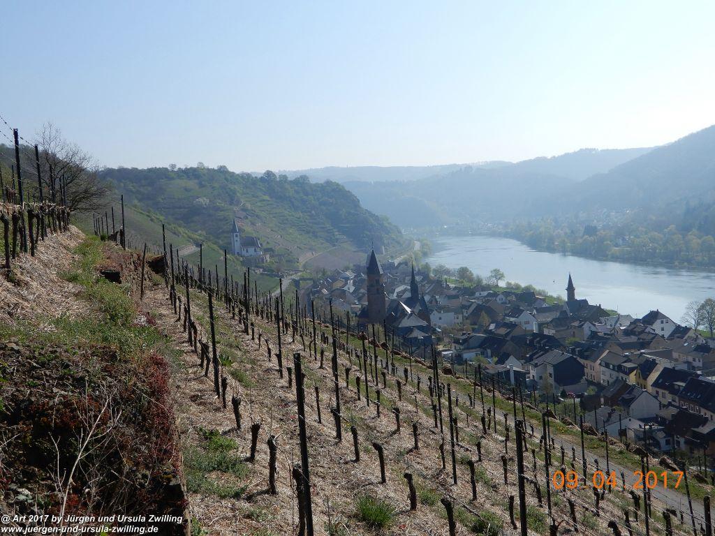 Philosophische Bildwanderung Hatzenporter Laysteig - Wiesen, Wein und weite Blicke - Mosel - Hunsrück