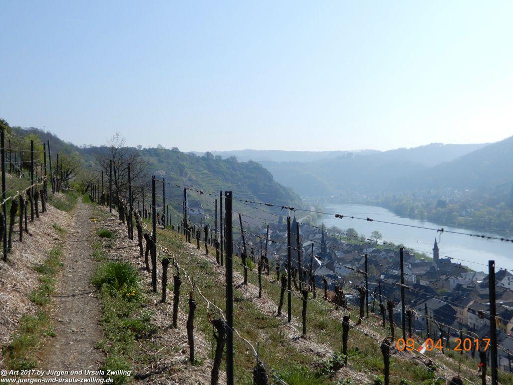 Philosophische Bildwanderung Hatzenporter Laysteig - Wiesen, Wein und weite Blicke - Mosel - Hunsrück