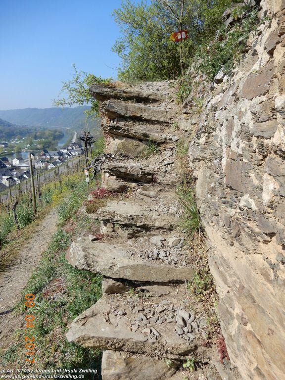 Philosophische Bildwanderung Hatzenporter Laysteig - Wiesen, Wein und weite Blicke - Mosel - Hunsrück