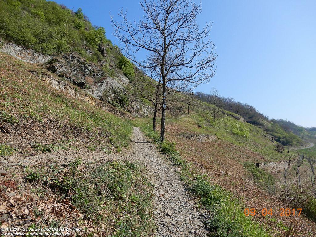 Philosophische Bildwanderung Hatzenporter Laysteig - Wiesen, Wein und weite Blicke - Mosel - Hunsrück