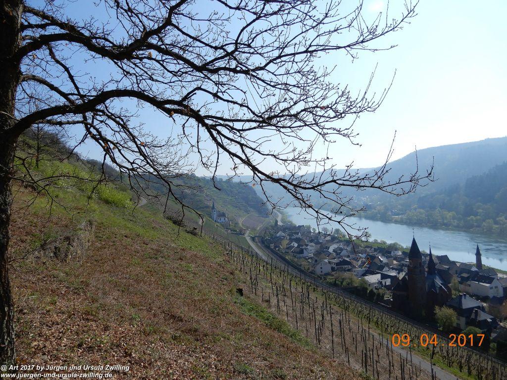 Philosophische Bildwanderung Hatzenporter Laysteig - Wiesen, Wein und weite Blicke - Mosel - Hunsrück