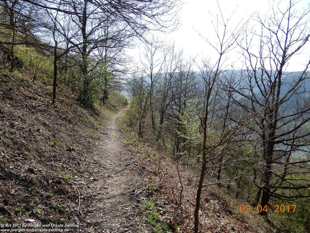 Philosophische Bildwanderung Hatzenporter Laysteig - Wiesen, Wein und weite Blicke - Mosel - Hunsrück