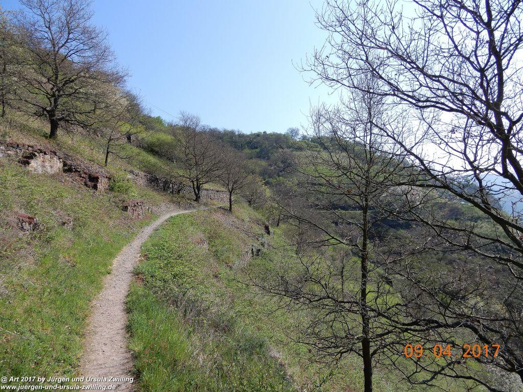 Philosophische Bildwanderung Hatzenporter Laysteig - Wiesen, Wein und weite Blicke - Mosel - Hunsrück