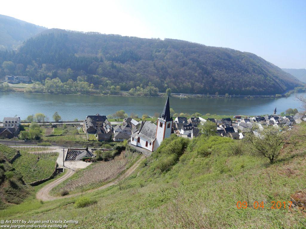 Philosophische Bildwanderung Hatzenporter Laysteig - Wiesen, Wein und weite Blicke - Mosel - Hunsrück