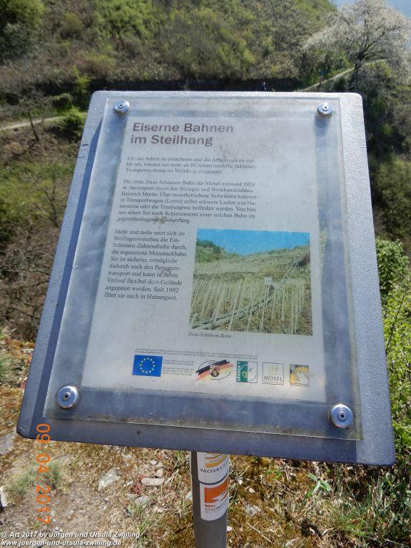 Philosophische Bildwanderung Hatzenporter Laysteig - Wiesen, Wein und weite Blicke - Mosel - Hunsrück