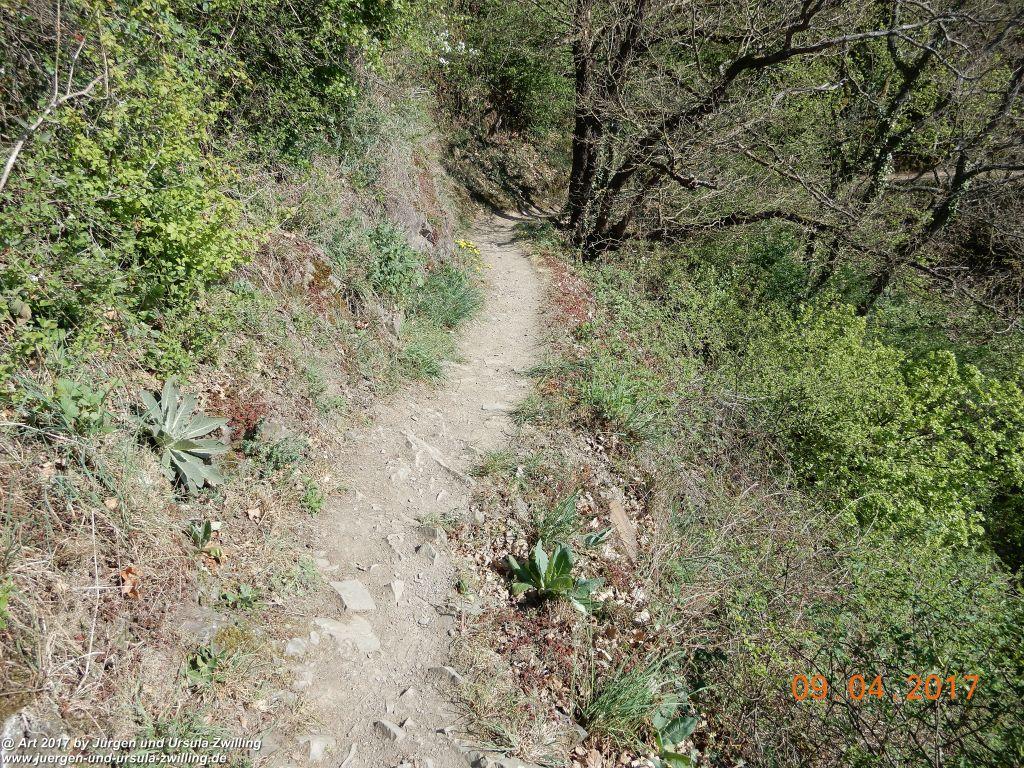 Philosophische Bildwanderung Hatzenporter Laysteig - Wiesen, Wein und weite Blicke - Mosel - Hunsrück