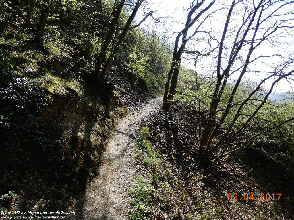 Philosophische Bildwanderung Hatzenporter Laysteig - Wiesen, Wein und weite Blicke - Mosel - Hunsrück