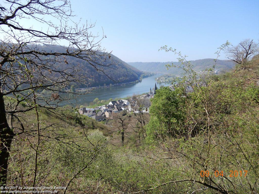 Philosophische Bildwanderung Hatzenporter Laysteig - Wiesen, Wein und weite Blicke - Mosel - Hunsrück