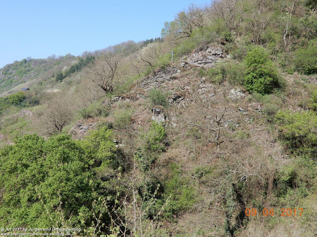 Philosophische Bildwanderung Hatzenporter Laysteig - Wiesen, Wein und weite Blicke - Mosel - Hunsrück
