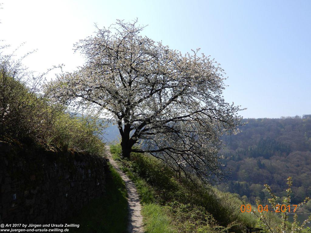 Philosophische Bildwanderung Hatzenporter Laysteig - Wiesen, Wein und weite Blicke - Mosel - Hunsrück