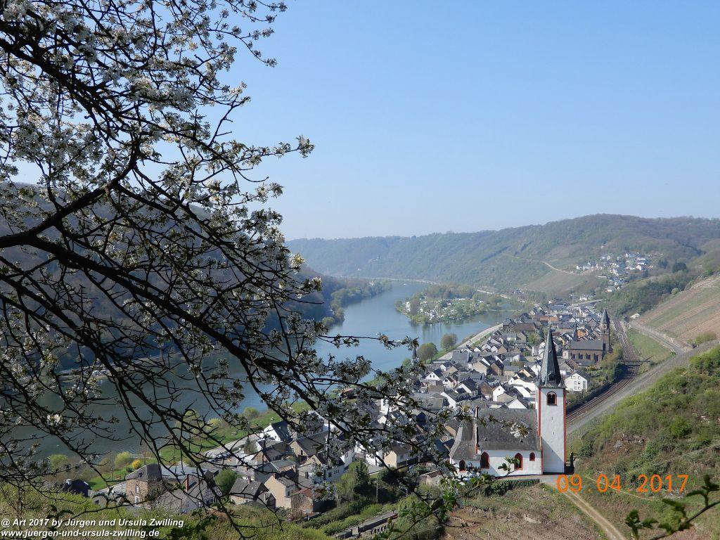 Philosophische Bildwanderung Hatzenporter Laysteig - Wiesen, Wein und weite Blicke - Mosel - Hunsrück