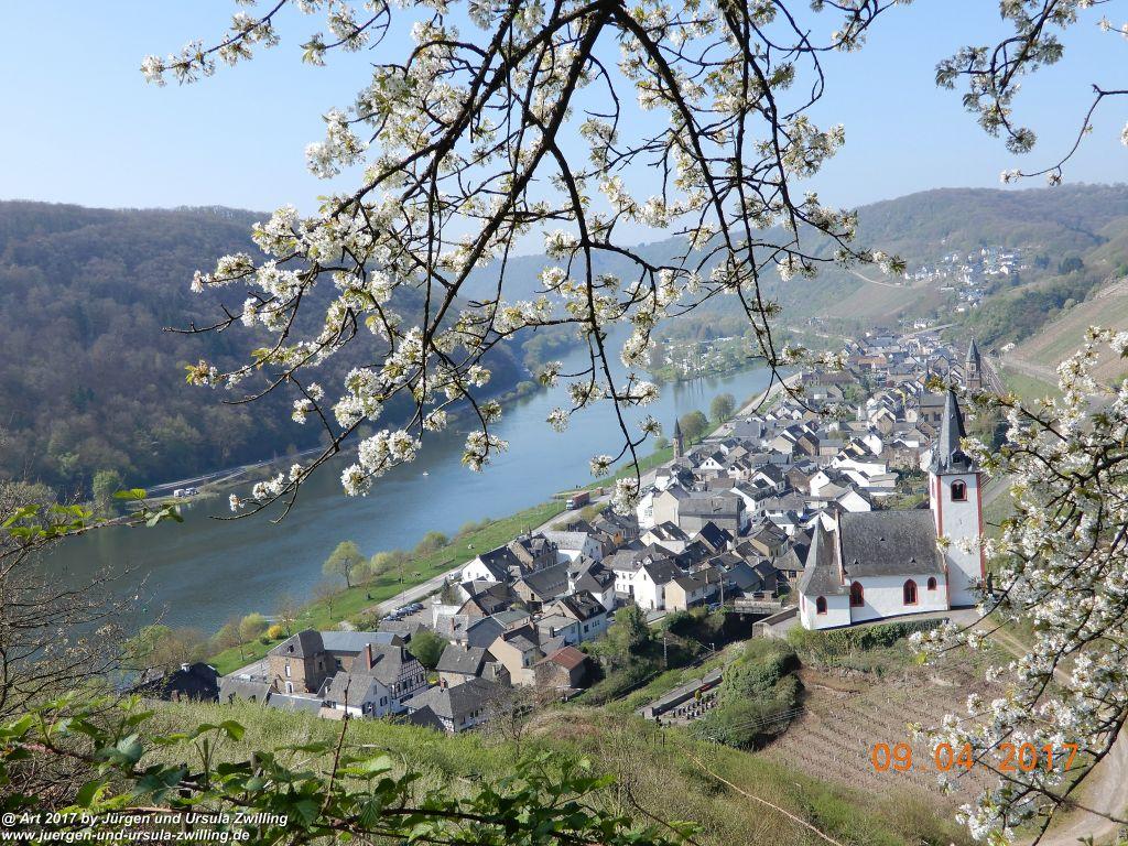 Philosophische Bildwanderung Hatzenporter Laysteig - Wiesen, Wein und weite Blicke - Mosel - Hunsrück