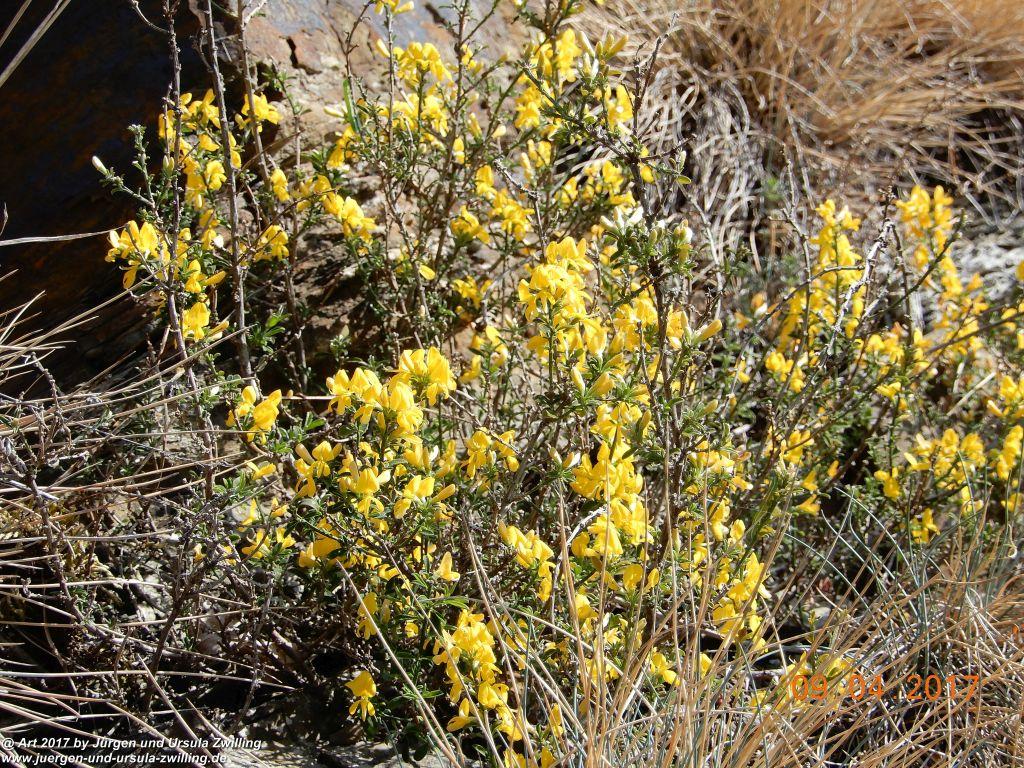 Philosophische Bildwanderung Hatzenporter Laysteig - Wiesen, Wein und weite Blicke - Mosel - Hunsrück