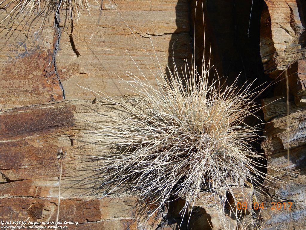 Philosophische Bildwanderung Hatzenporter Laysteig - Wiesen, Wein und weite Blicke - Mosel - Hunsrück