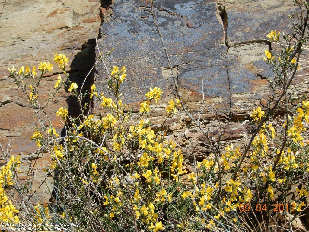 Philosophische Bildwanderung Hatzenporter Laysteig - Wiesen, Wein und weite Blicke - Mosel - Hunsrück