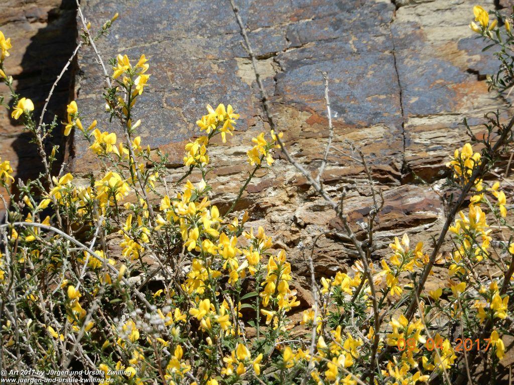 Philosophische Bildwanderung Hatzenporter Laysteig - Wiesen, Wein und weite Blicke - Mosel - Hunsrück