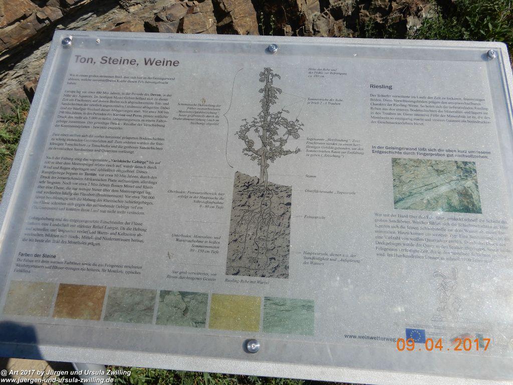 Philosophische Bildwanderung Hatzenporter Laysteig - Wiesen, Wein und weite Blicke - Mosel - Hunsrück