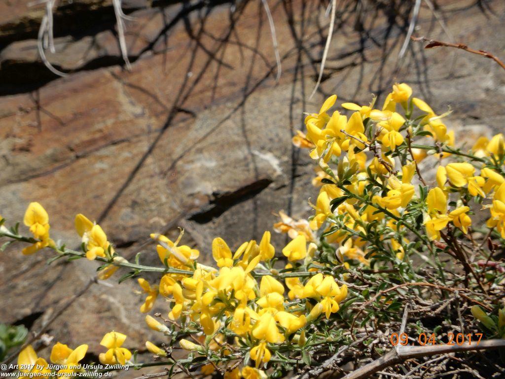 Philosophische Bildwanderung Hatzenporter Laysteig - Wiesen, Wein und weite Blicke - Mosel - Hunsrück