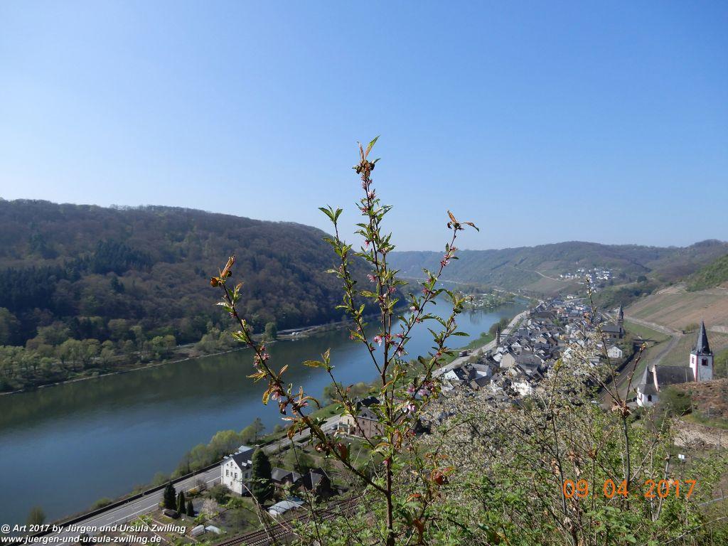Philosophische Bildwanderung Hatzenporter Laysteig - Wiesen, Wein und weite Blicke - Mosel - Hunsrück
