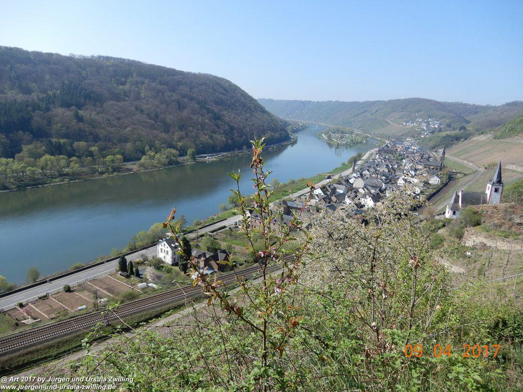 Philosophische Bildwanderung Hatzenporter Laysteig - Wiesen, Wein und weite Blicke - Mosel - Hunsrück