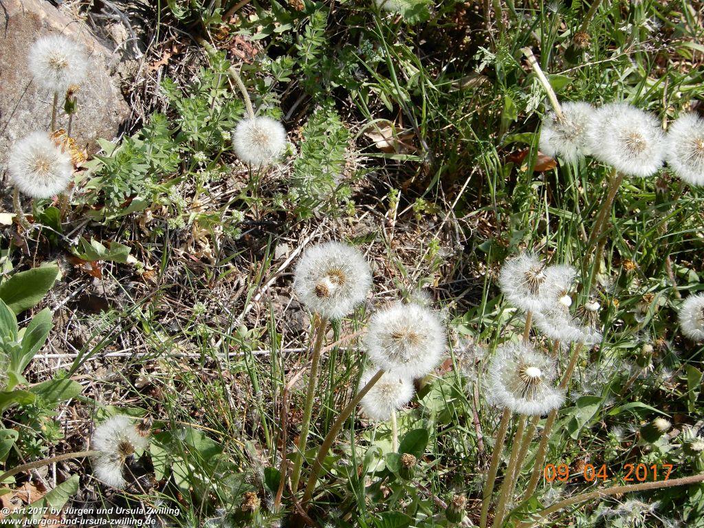 Philosophische Bildwanderung Hatzenporter Laysteig - Wiesen, Wein und weite Blicke - Mosel - Hunsrück