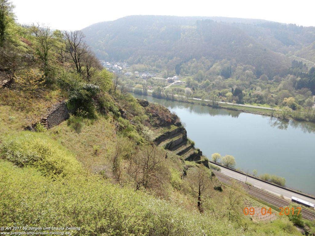Philosophische Bildwanderung Hatzenporter Laysteig - Wiesen, Wein und weite Blicke - Mosel - Hunsrück