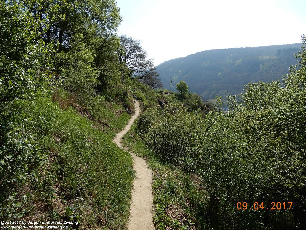 Philosophische Bildwanderung Hatzenporter Laysteig - Wiesen, Wein und weite Blicke - Mosel - Hunsrück