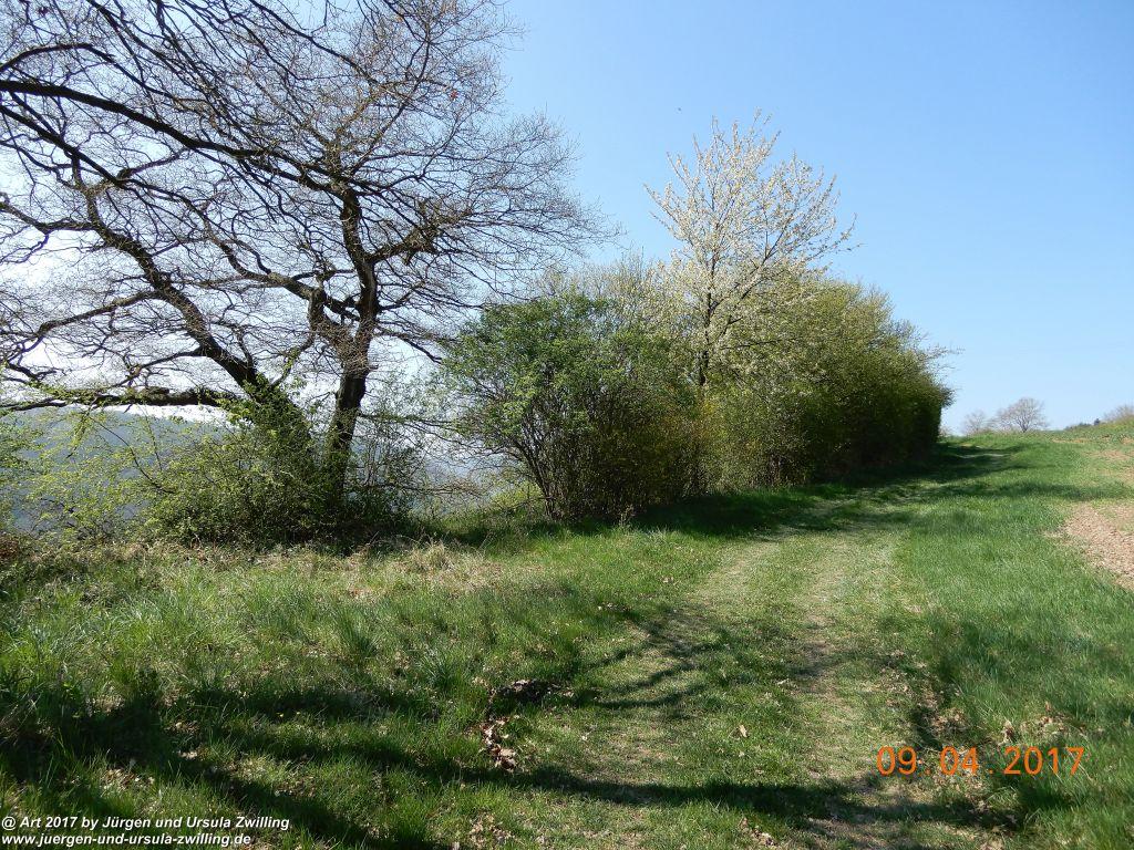 Philosophische Bildwanderung Hatzenporter Laysteig - Wiesen, Wein und weite Blicke - Mosel - Hunsrück