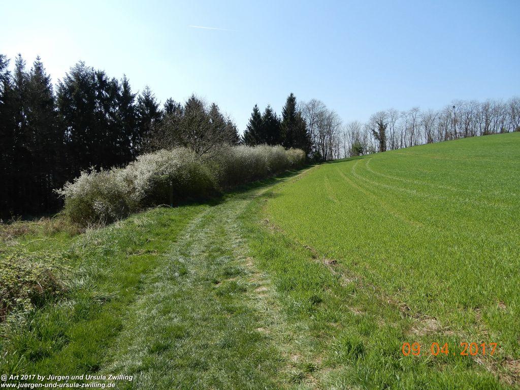 Philosophische Bildwanderung Hatzenporter Laysteig - Wiesen, Wein und weite Blicke - Mosel - Hunsrück