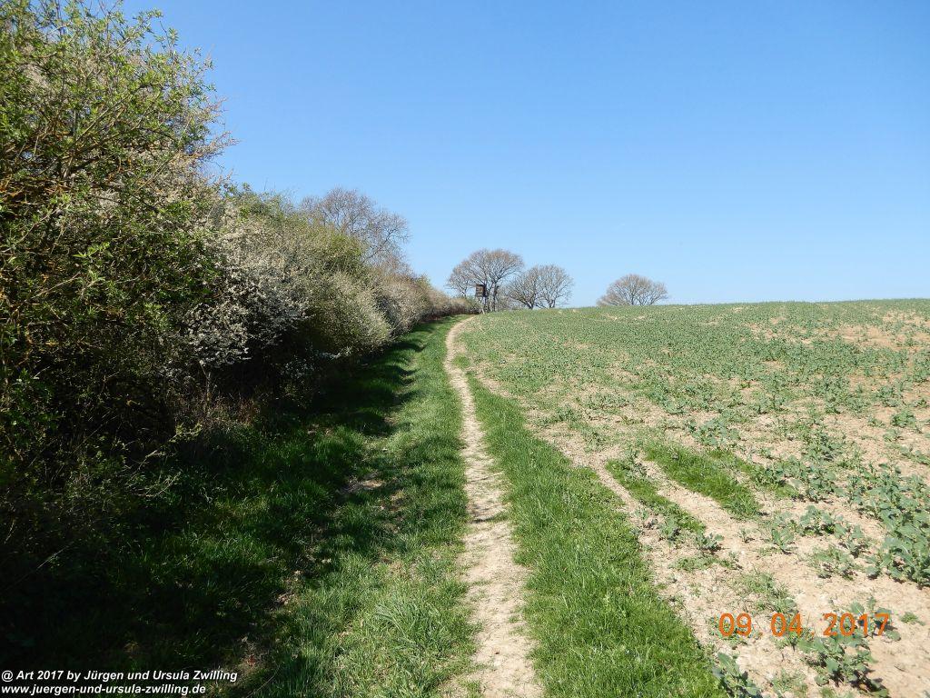 Philosophische Bildwanderung Hatzenporter Laysteig - Wiesen, Wein und weite Blicke - Mosel - Hunsrück