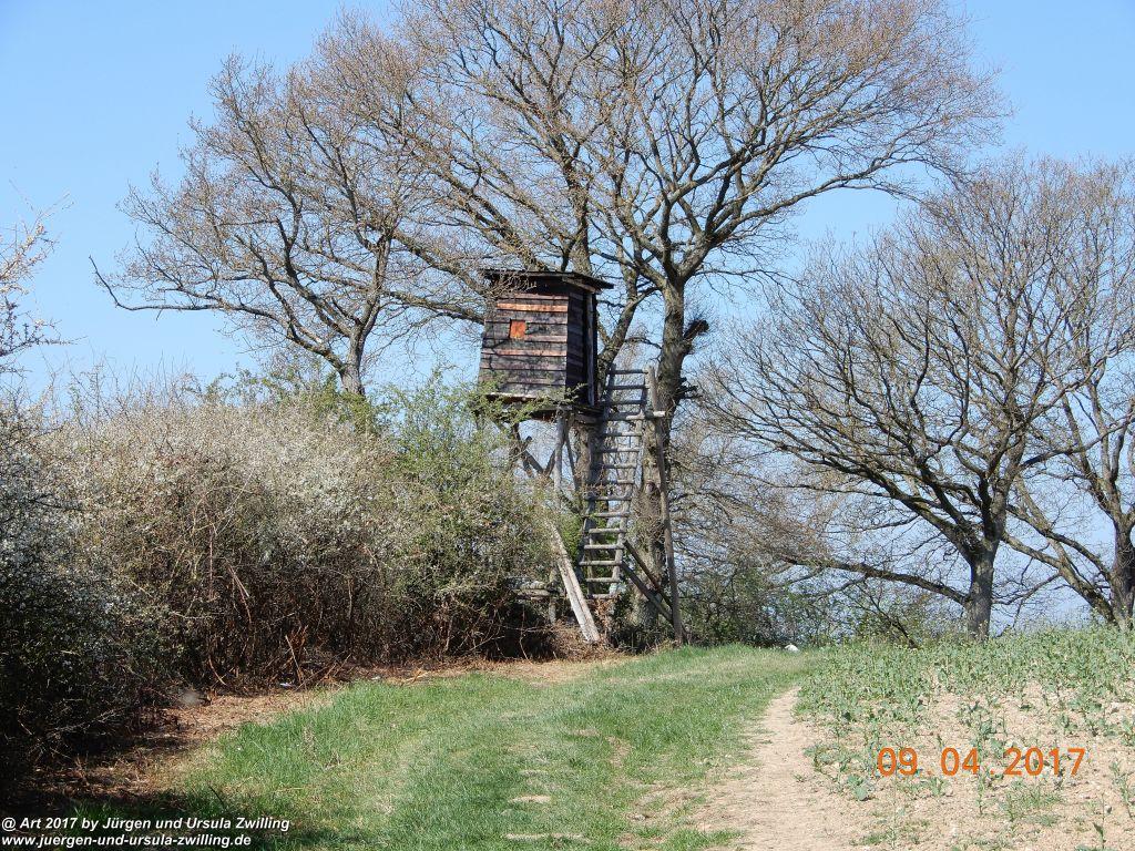 Philosophische Bildwanderung Hatzenporter Laysteig - Wiesen, Wein und weite Blicke - Mosel - Hunsrück