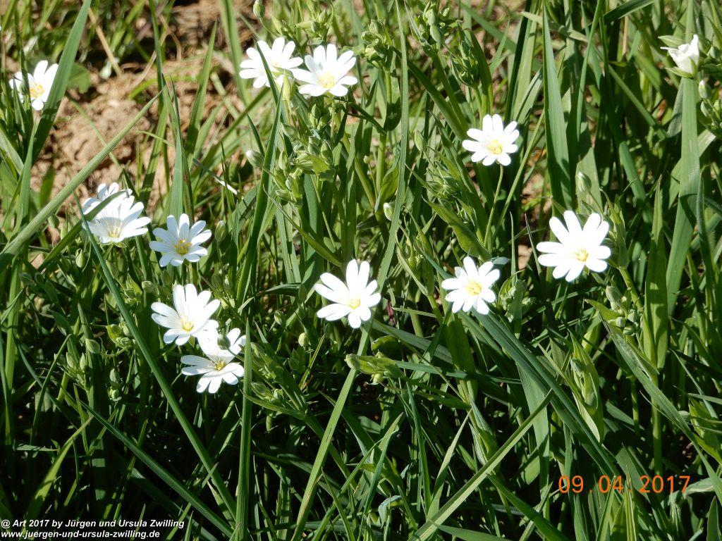 Philosophische Bildwanderung Hatzenporter Laysteig - Wiesen, Wein und weite Blicke - Mosel - Hunsrück