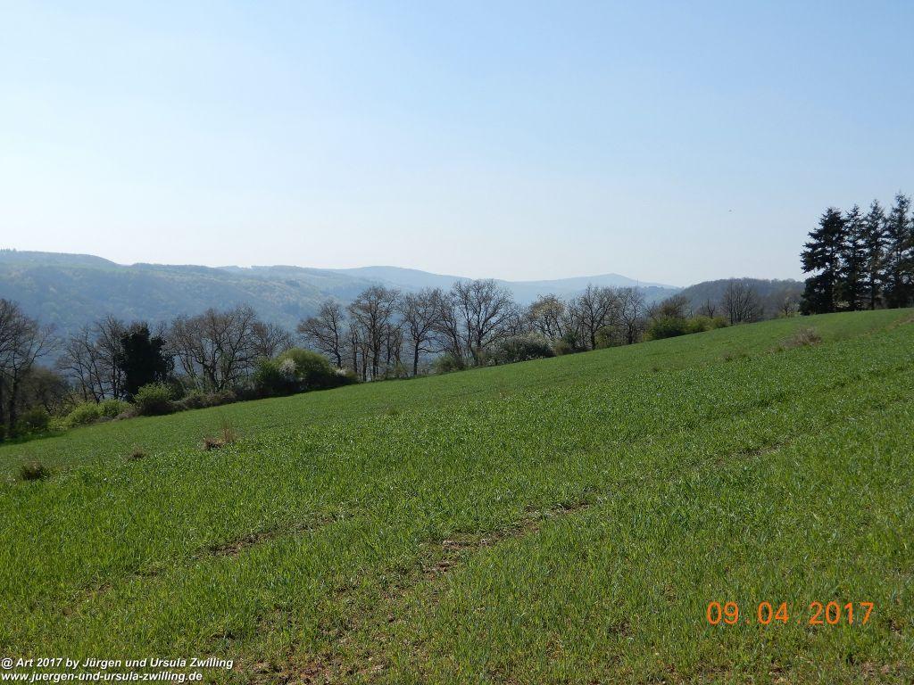 Philosophische Bildwanderung Hatzenporter Laysteig - Wiesen, Wein und weite Blicke - Mosel - Hunsrück