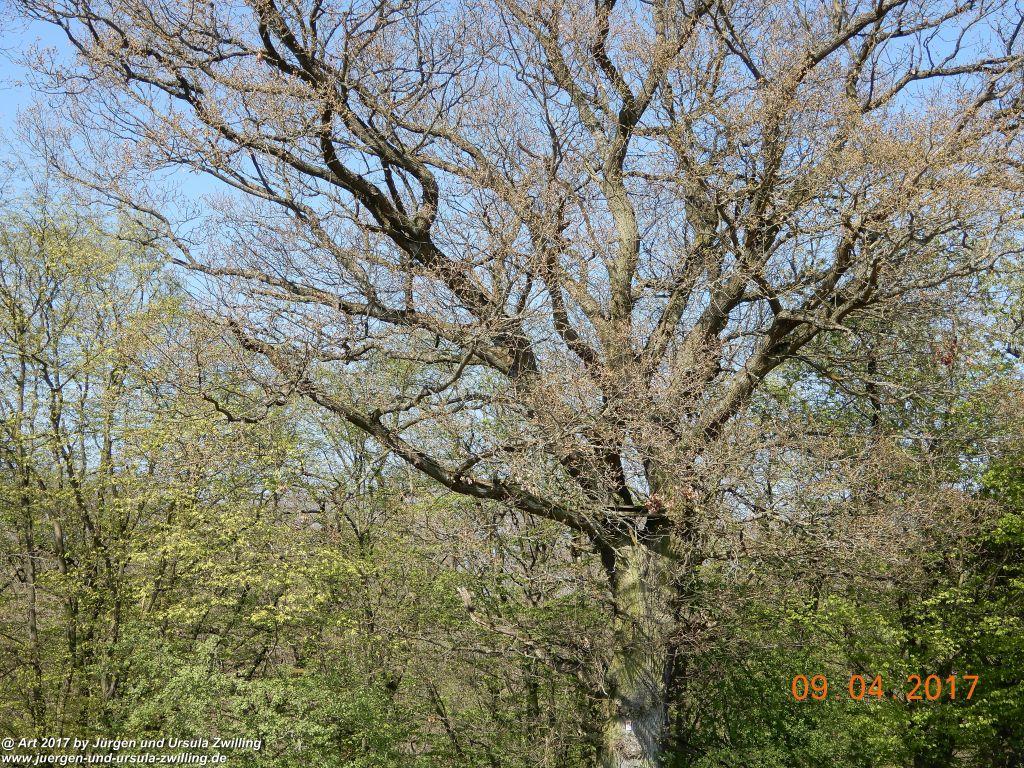 Philosophische Bildwanderung Hatzenporter Laysteig - Wiesen, Wein und weite Blicke - Mosel - Hunsrück