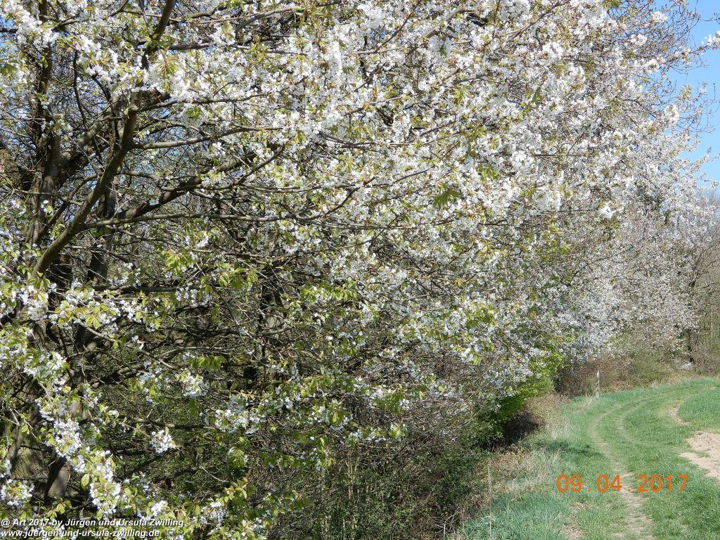 Philosophische Bildwanderung Hatzenporter Laysteig - Wiesen, Wein und weite Blicke - Mosel - Hunsrück
