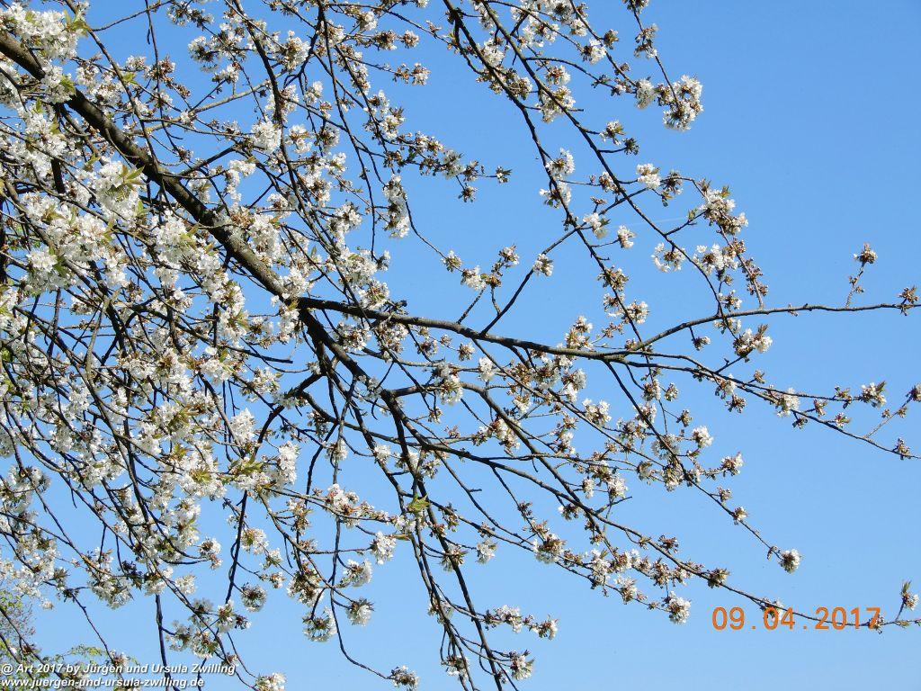 Philosophische Bildwanderung Hatzenporter Laysteig - Wiesen, Wein und weite Blicke - Mosel - Hunsrück