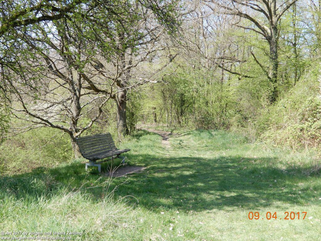 Philosophische Bildwanderung Hatzenporter Laysteig - Wiesen, Wein und weite Blicke - Mosel - Hunsrück