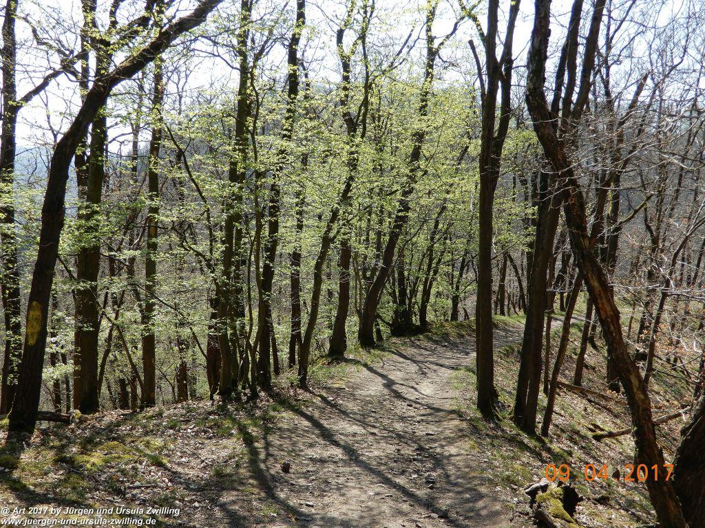 Philosophische Bildwanderung Hatzenporter Laysteig - Wiesen, Wein und weite Blicke - Mosel - Hunsrück
