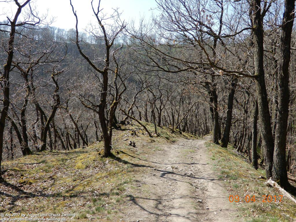 Philosophische Bildwanderung Hatzenporter Laysteig - Wiesen, Wein und weite Blicke - Mosel - Hunsrück