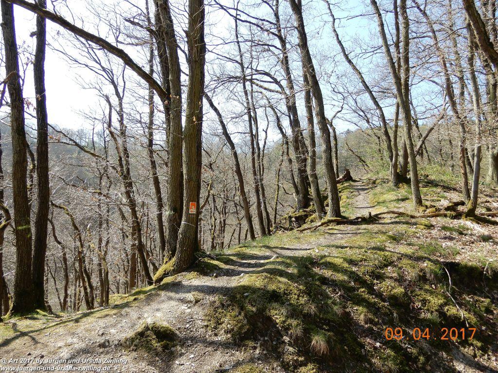 Philosophische Bildwanderung Hatzenporter Laysteig - Wiesen, Wein und weite Blicke - Mosel - Hunsrück