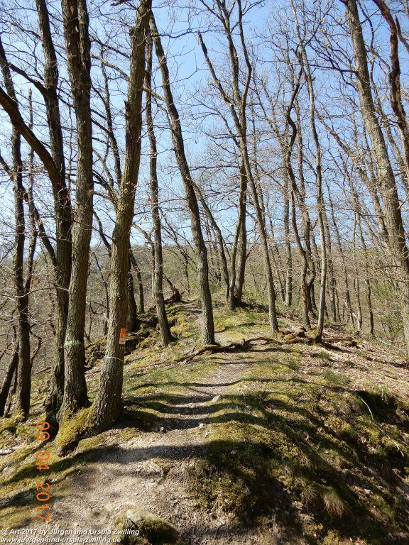 Philosophische Bildwanderung Hatzenporter Laysteig - Wiesen, Wein und weite Blicke - Mosel - Hunsrück